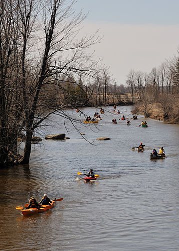 Raisin River (Ontario)